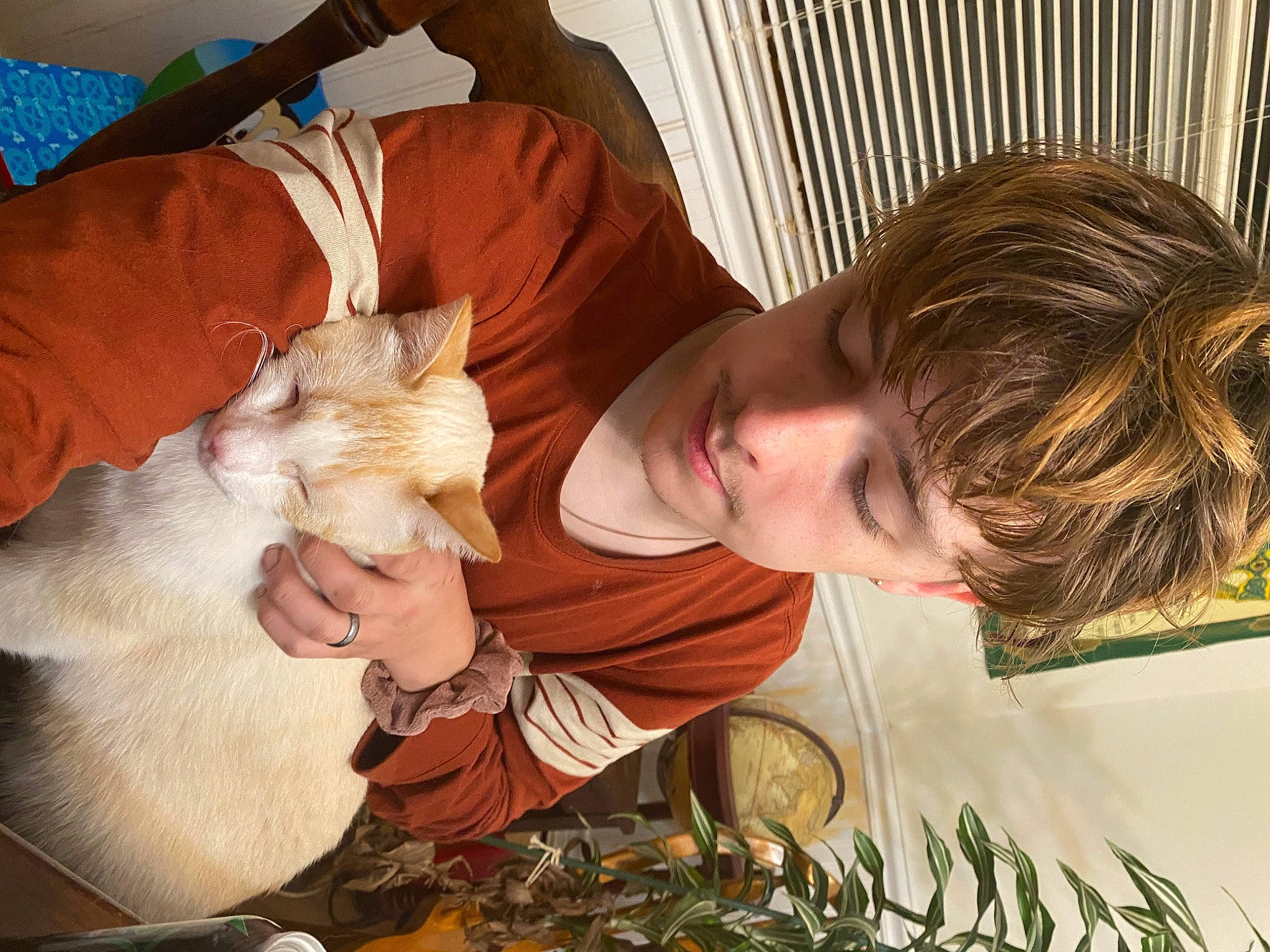 River is registered to the contest to win money with this photo: canidae, carnivore, cat, child, comfort, companion_dog, felidae, floral_design, fun, fur, happy, lap, small_to_medium_sized_cats, tree, visual_arts, whiskers, wood