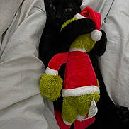 Mimine a rejoint le concours — aidez-le/la à gagner de superbes lots ! black_cat, cat, plush_toy, grinch, stuffed_animal, bed, blanket, white_bedding, cute, cozy, holiday, christmas, festive, animal, pet, claws, soft_texture, indoor, sleepy, hugging