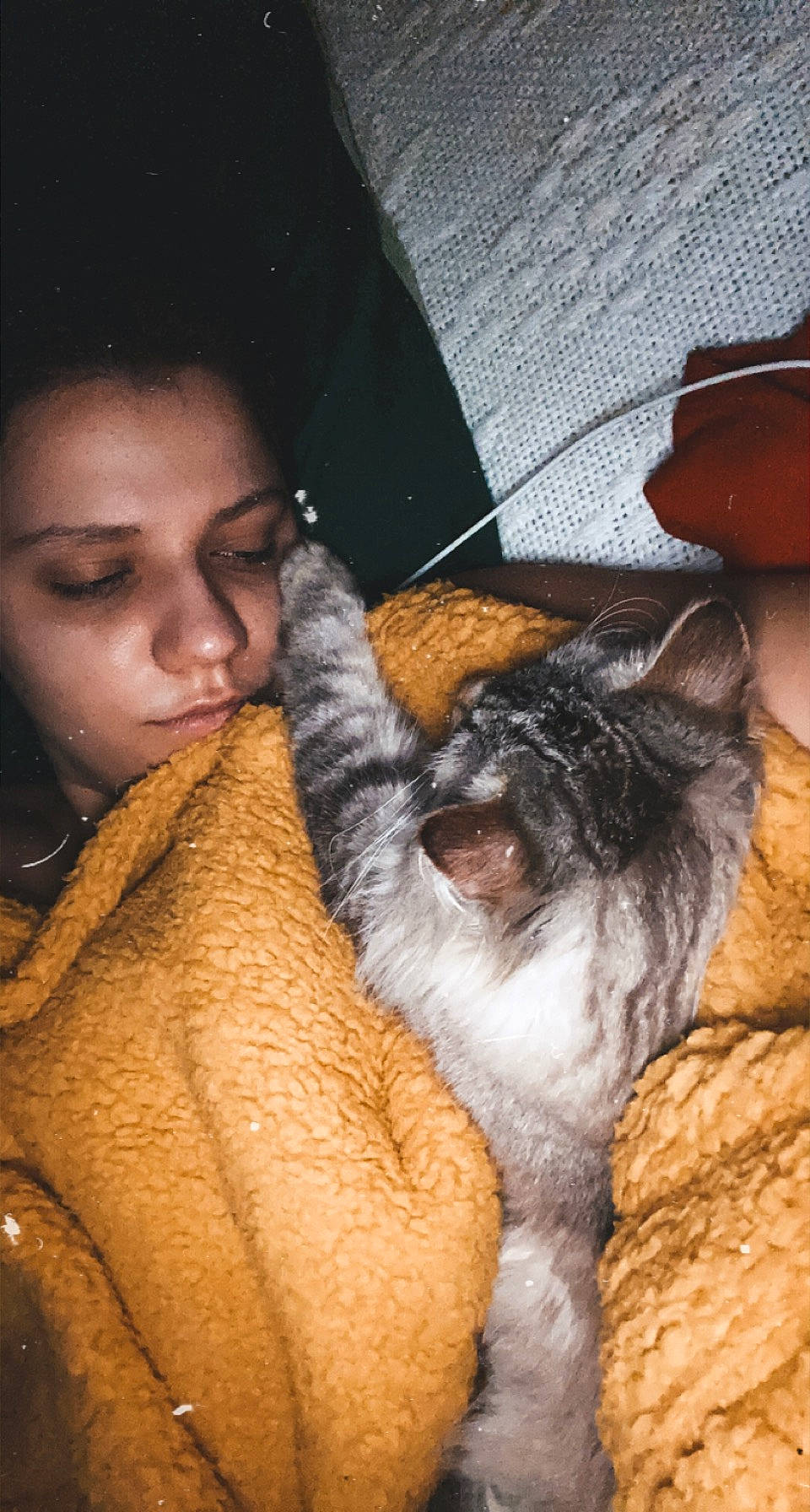 Balloo a rejoint le concours — aidez-le/la à gagner de superbes lots ! carnivore, cat, comfort, companion_dog, dog_breed, eye, fawn, felidae, flowerpot, fur, gesture, head, human_leg, lap, paw, small_to_medium_sized_cats, snout, tail, thigh, whiskers