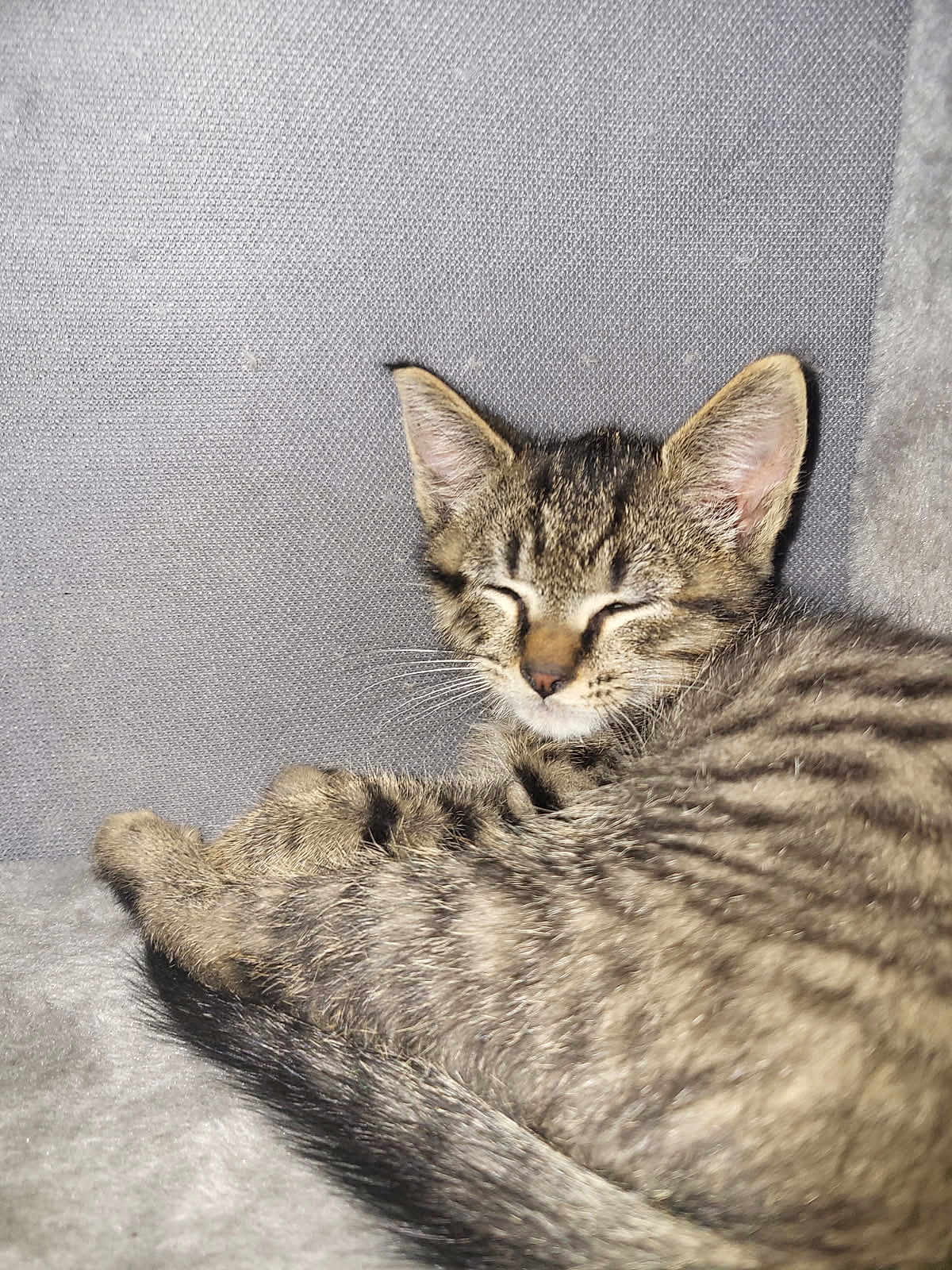 Symba