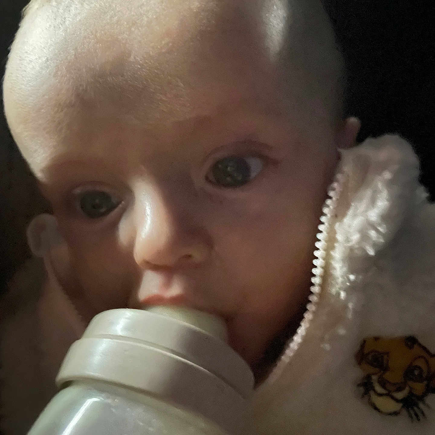 Naël P participe au concours pour gagner de l'argent avec cette photo : baby, bottle, child, close_up, cute, expression, eyes, face, feeding, fleece_jacket, head, indoor, infant, mouth, portrait, skin, soft_texture, tiger_patch, warm_clothing, young