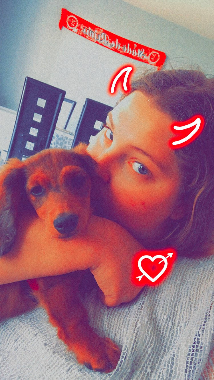 Rocky participe au concours pour gagner de l'argent avec cette photo : canidae, carnivore, companion_dog, dog, dog_breed, ear, eyelash, fawn, fur, gesture, happy, lip, love, mouth, nose, selfie, skin, snout, sporting_group, toy