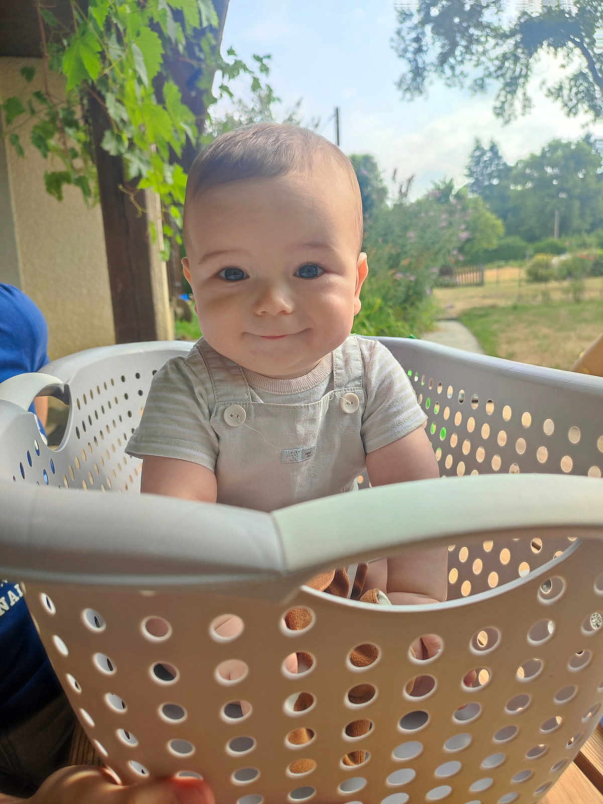Louis a rejoint le concours — aidez-le/la à gagner de superbes lots ! baby, child, laundry_basket, smile, outdoor, greenery, daylight, person, cute, face, clothing, short_sleeve, playful, nature, summer, basket, happy, portrait, infant, head