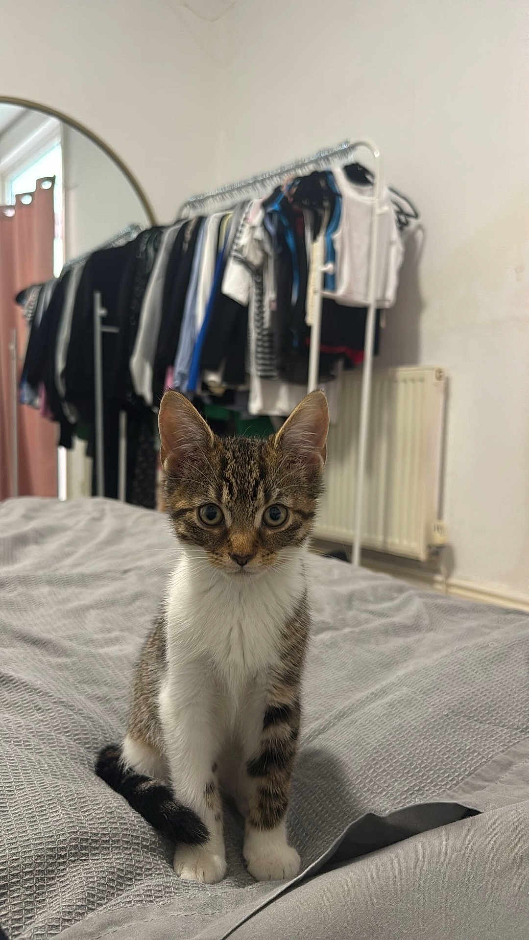 Freddie