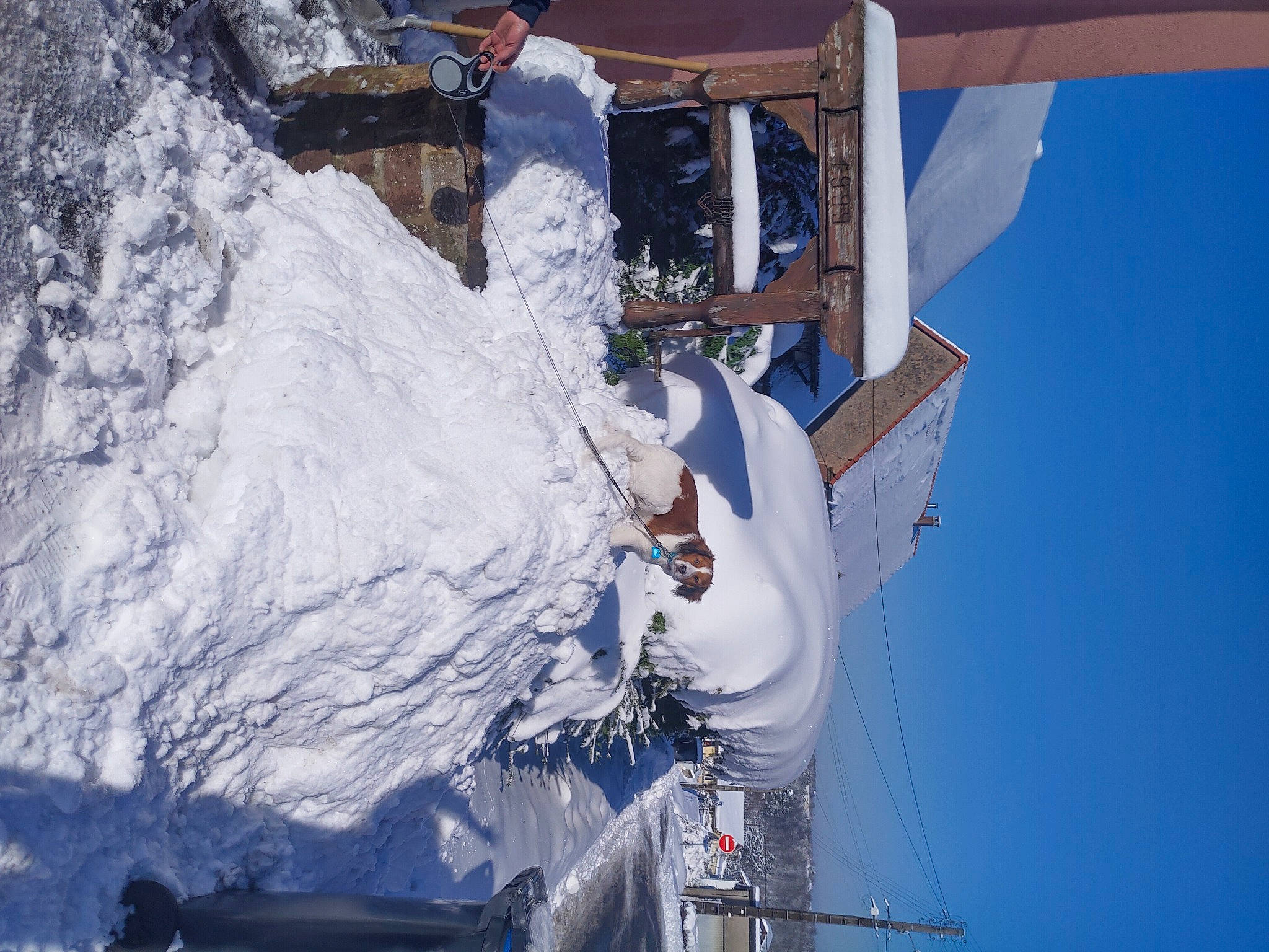 Maïka a rejoint le concours — aidez-le/la à gagner de superbes lots ! arctic, freezing, frost, geological_phenomenon, glacial_landform, ice, ice_cap, snow, space, winter, world