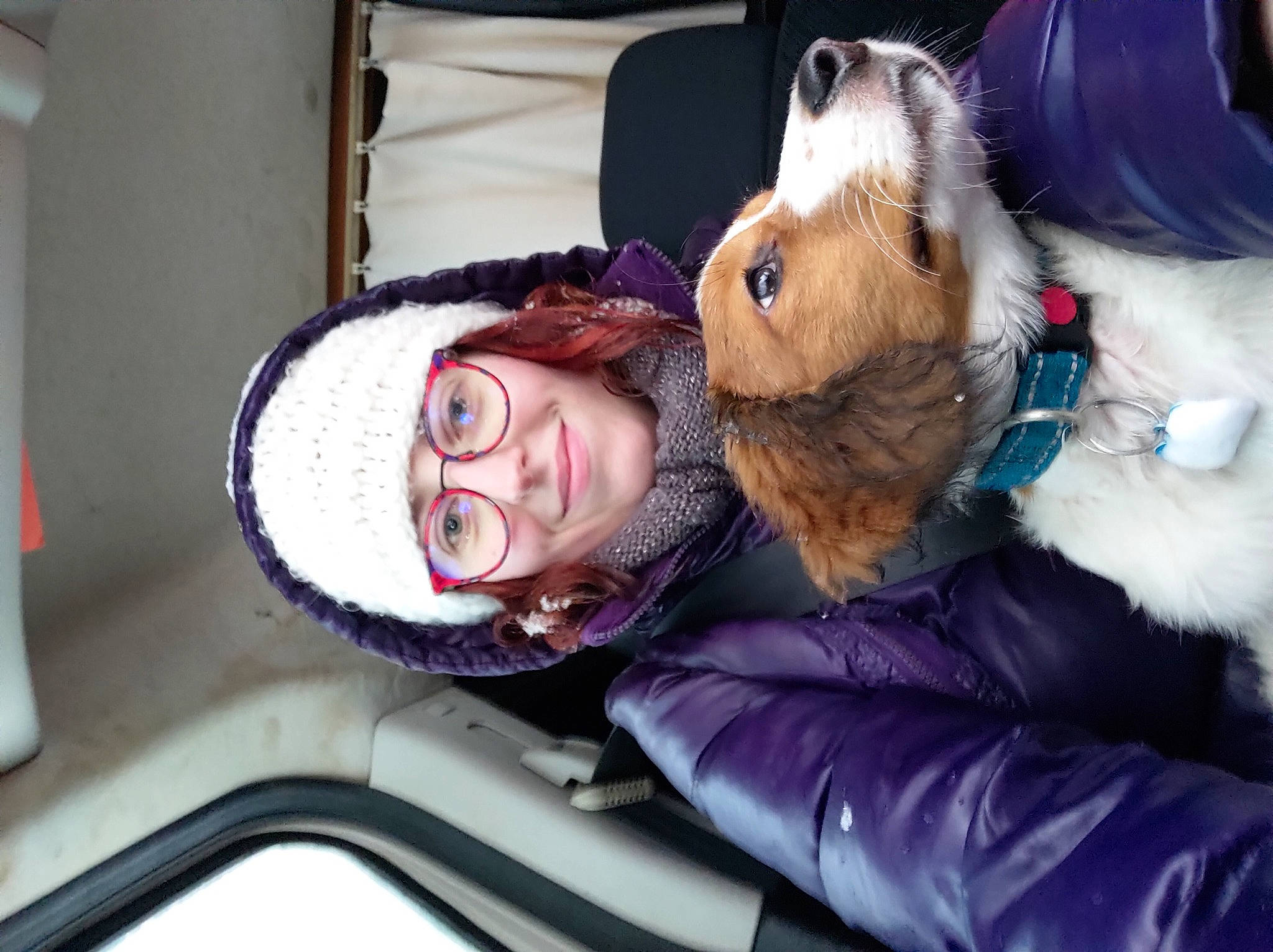 Maïka a rejoint le concours — aidez-le/la à gagner de superbes lots ! canidae, carnivore, collar, companion_dog, dog, dog_breed, dog_collar, dog_supply, fur, leash, mammal, pet_supply, purple, snout, sporting_group, tongue, tooth, vertebrate, winter, working_animal