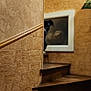animal, black_dog, corner, curious, dog, frame, home_interior, indoor, peeking, pet, plant, quiet, shadow, stairs, step, texture, vintage_decor, wall, warm_lighting, wooden_stairs