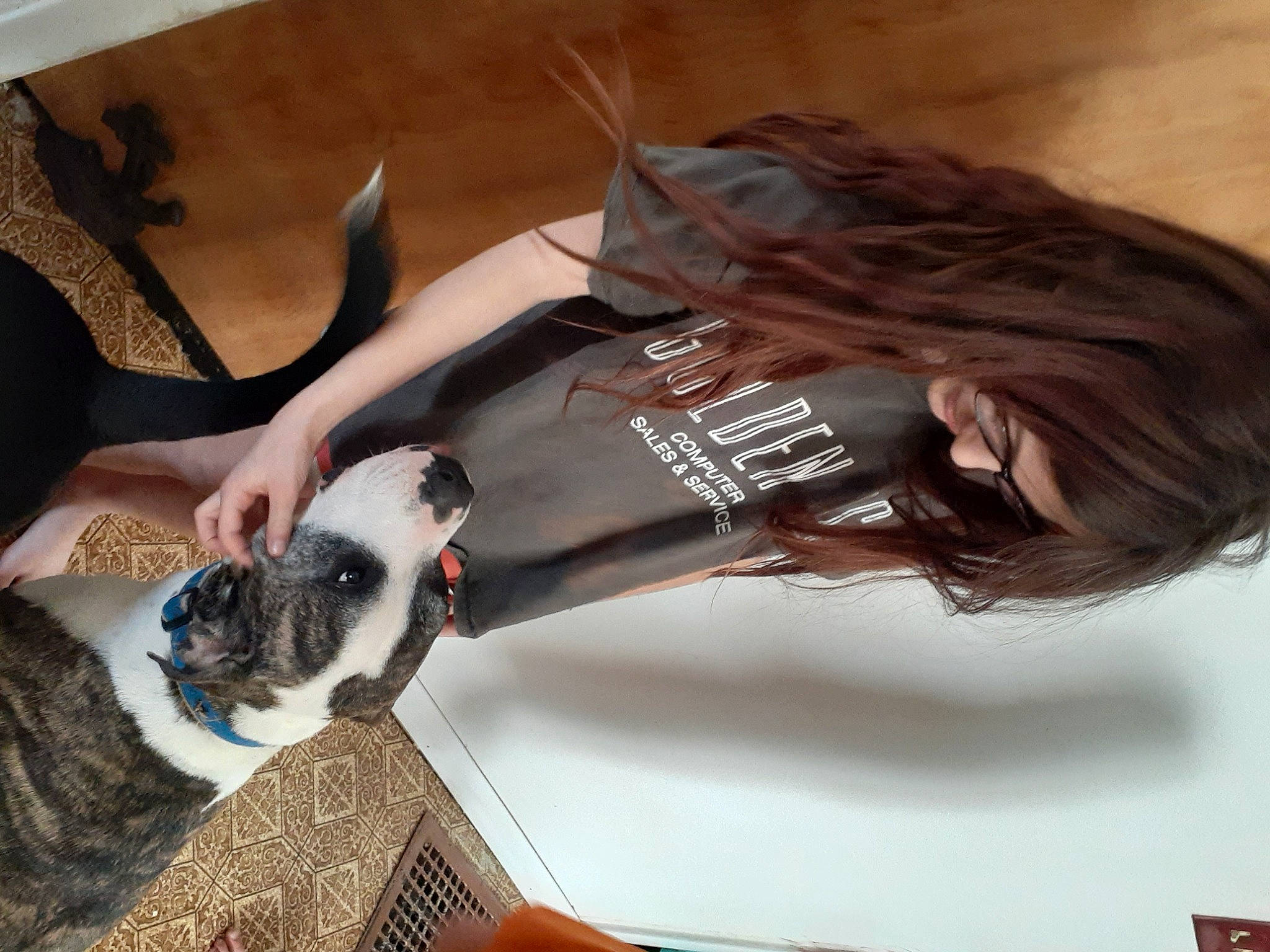 Kratos is registered to the contest to win money with this photo: boston_terrier, canidae, carnivore, cat, companion_dog, ear, fawn, whiskers