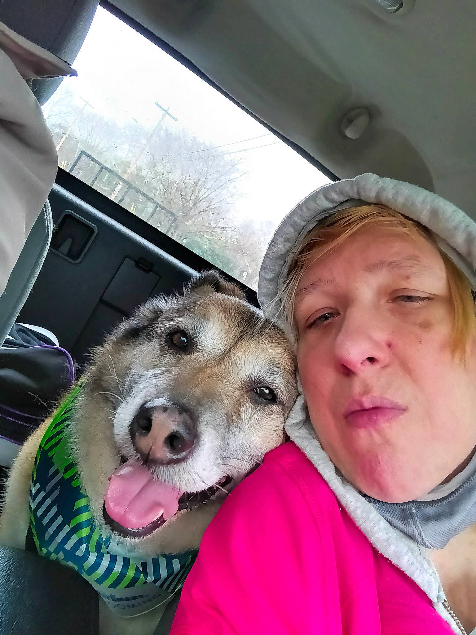 Maxi joined the competition — help win amazing prizes! automotive_exterior, canidae, cap, car_seat, carnivore, companion_dog, dog, dog_breed, ear, family_car, fun, fur, happy, mammal, selfie, snout, sporting_group, vacation, vehicle_door, vertebrate