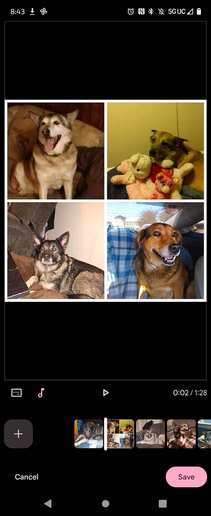 Maxi is registered to the contest to win money with this photo: art, carnivore, collage, companion_dog, couch, dog, dog_breed, dog_supply, fawn, font, fur, mammal, photo_caption, photograph, rectangle, selfie, sporting_group, vertebrate, whiskers, working_animal