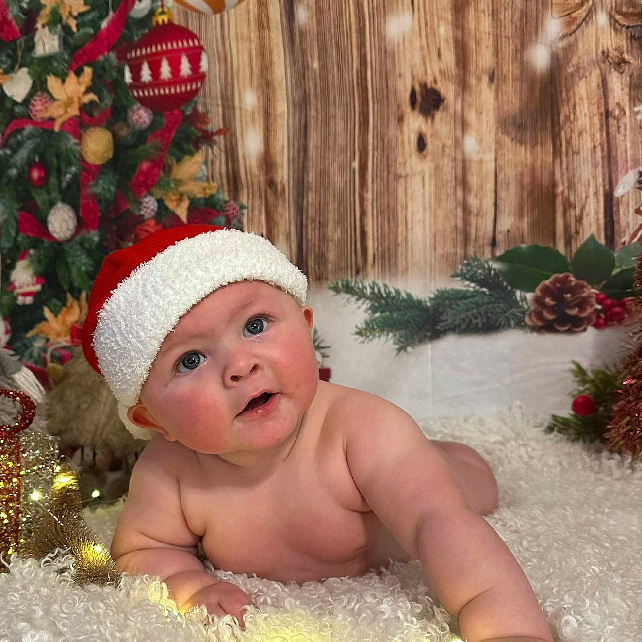 Llewelyn is registered to the contest to win money with this photo: baby, blanket, christmas_ornaments, christmas_tree, crawling, curious, cute, decorations, festive, green, holiday, indoor, infant, lights, pine_cones, red, santa_hat, smiling, white, wood_background