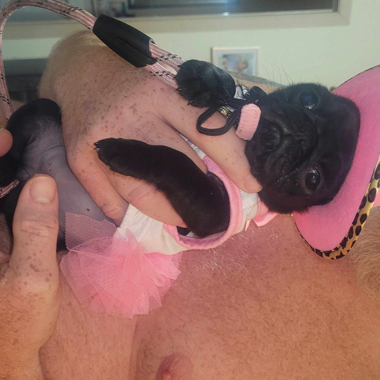 Peppa is registered to the contest to win money with this photo: abdomen, black_hair, brassiere, chest, eyelash, eyewear, finger, goggles, human_leg, lingerie, nail, neck, personal_protective_equipment, sunglasses, swimwear, thigh, thumb, trunk, vision_care, wrist