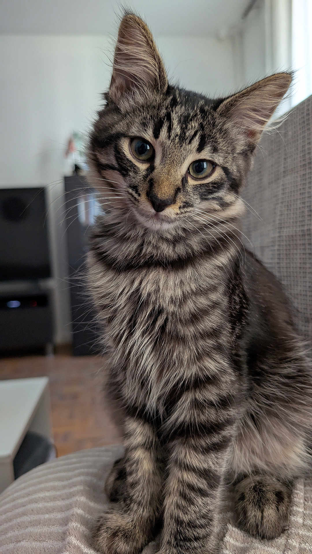Anakin
