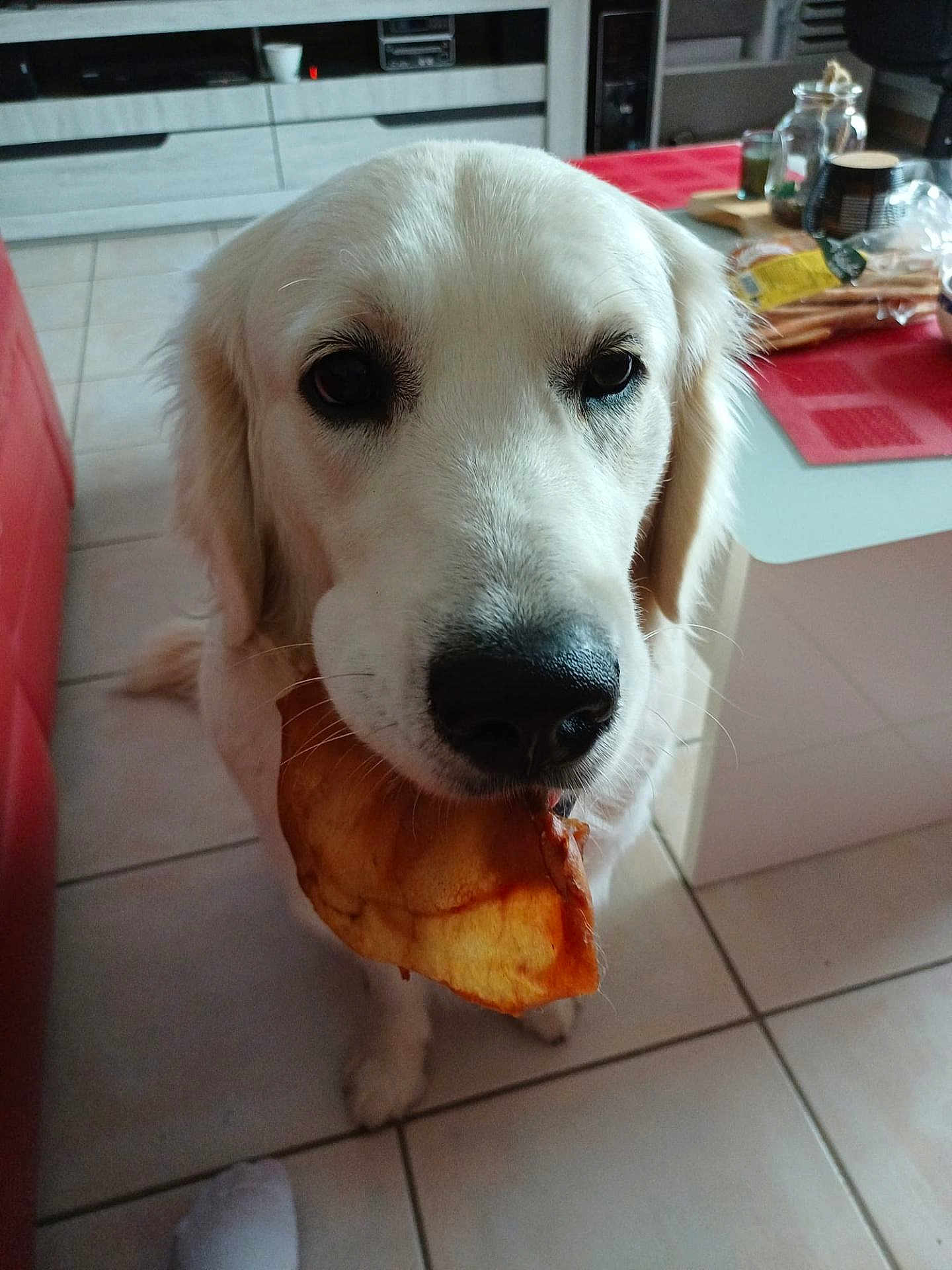 Midoo