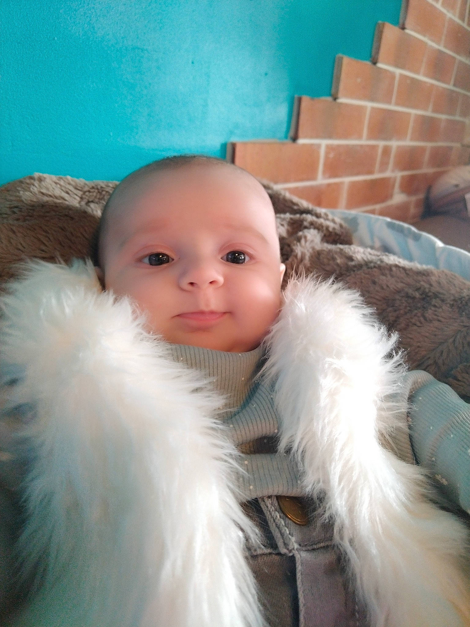 éloïse participe au concours pour gagner de l&#x27;argent avec cette photo : animal_product, brick, cheek, child, ear, eye, eyebrow, fashion_accessory, feather, fun, fur, fur_clothing, happy, head, iris, natural_material, nose, parka, person, sleeve