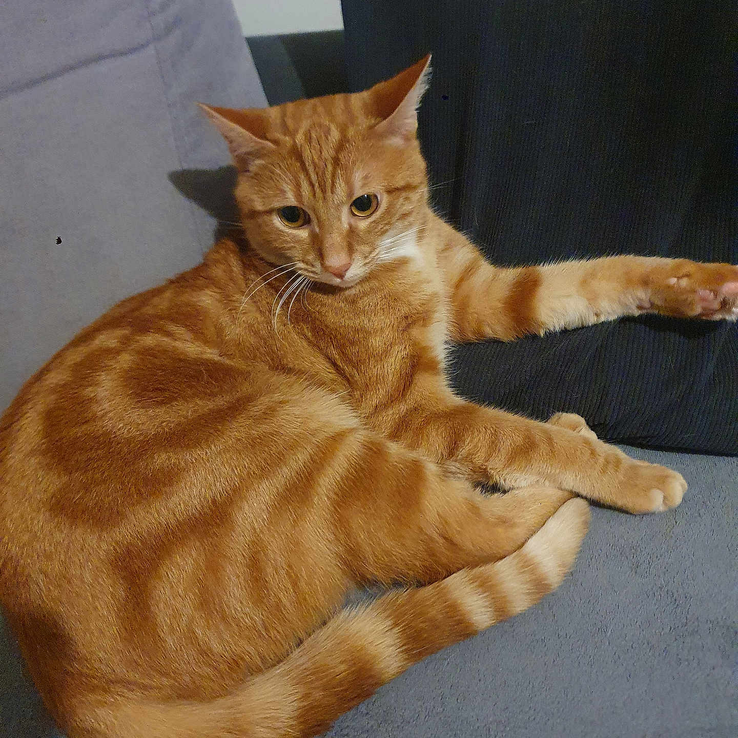 Max