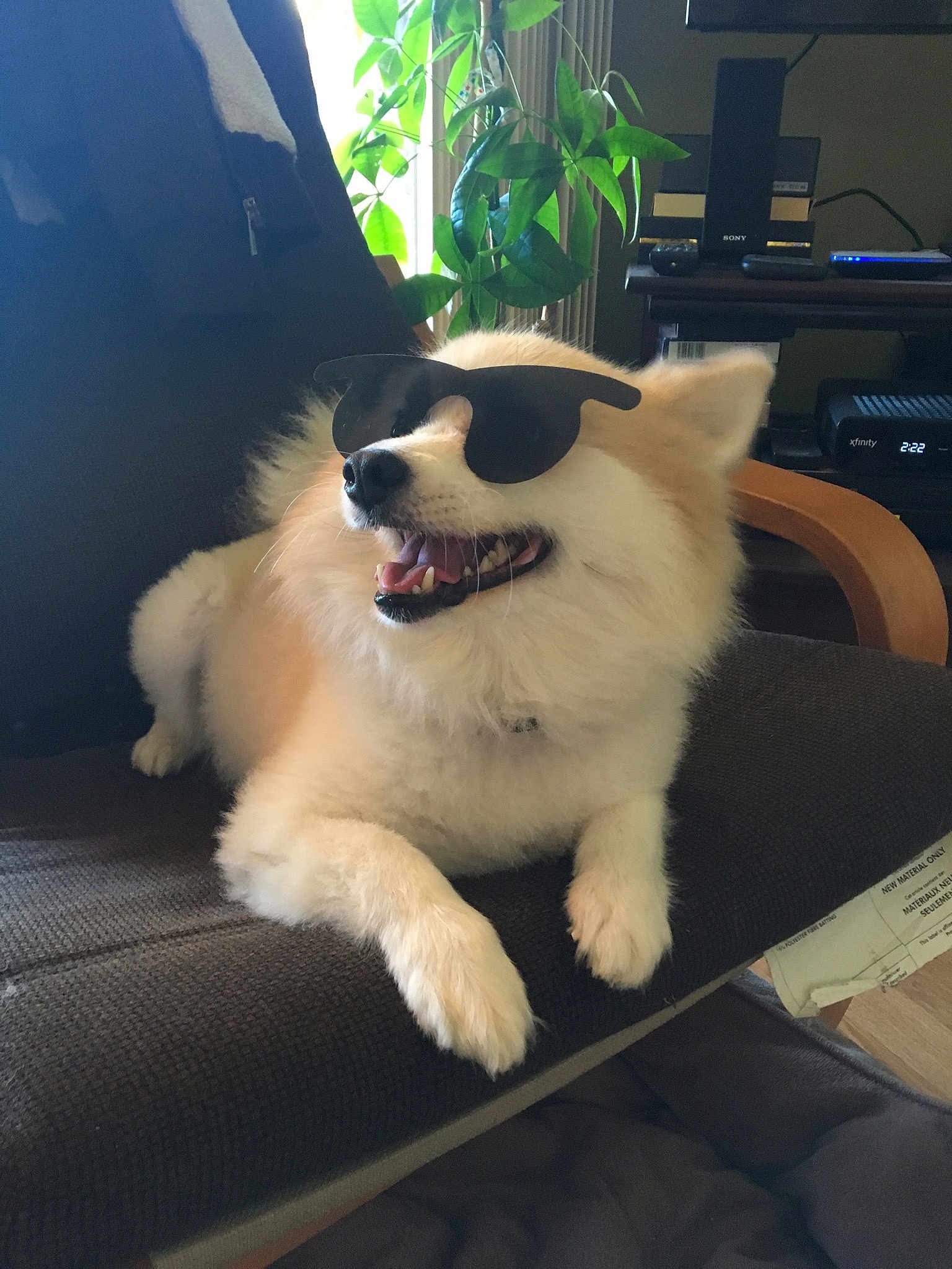 Miko