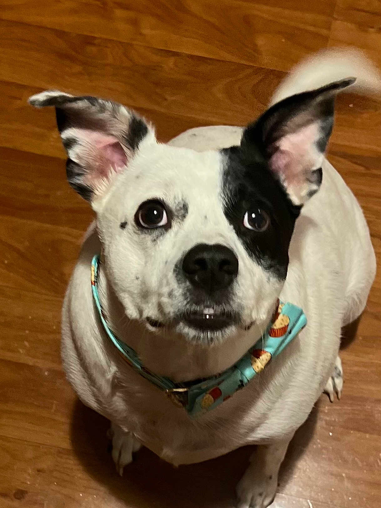 Pete