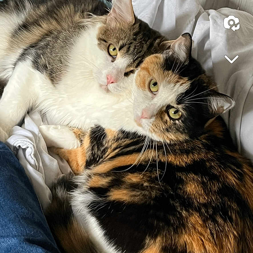 Ivar Et Minette