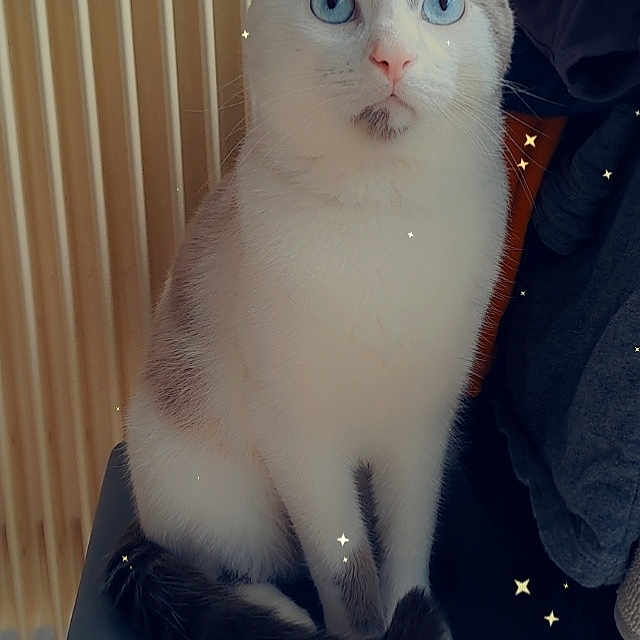 Pili