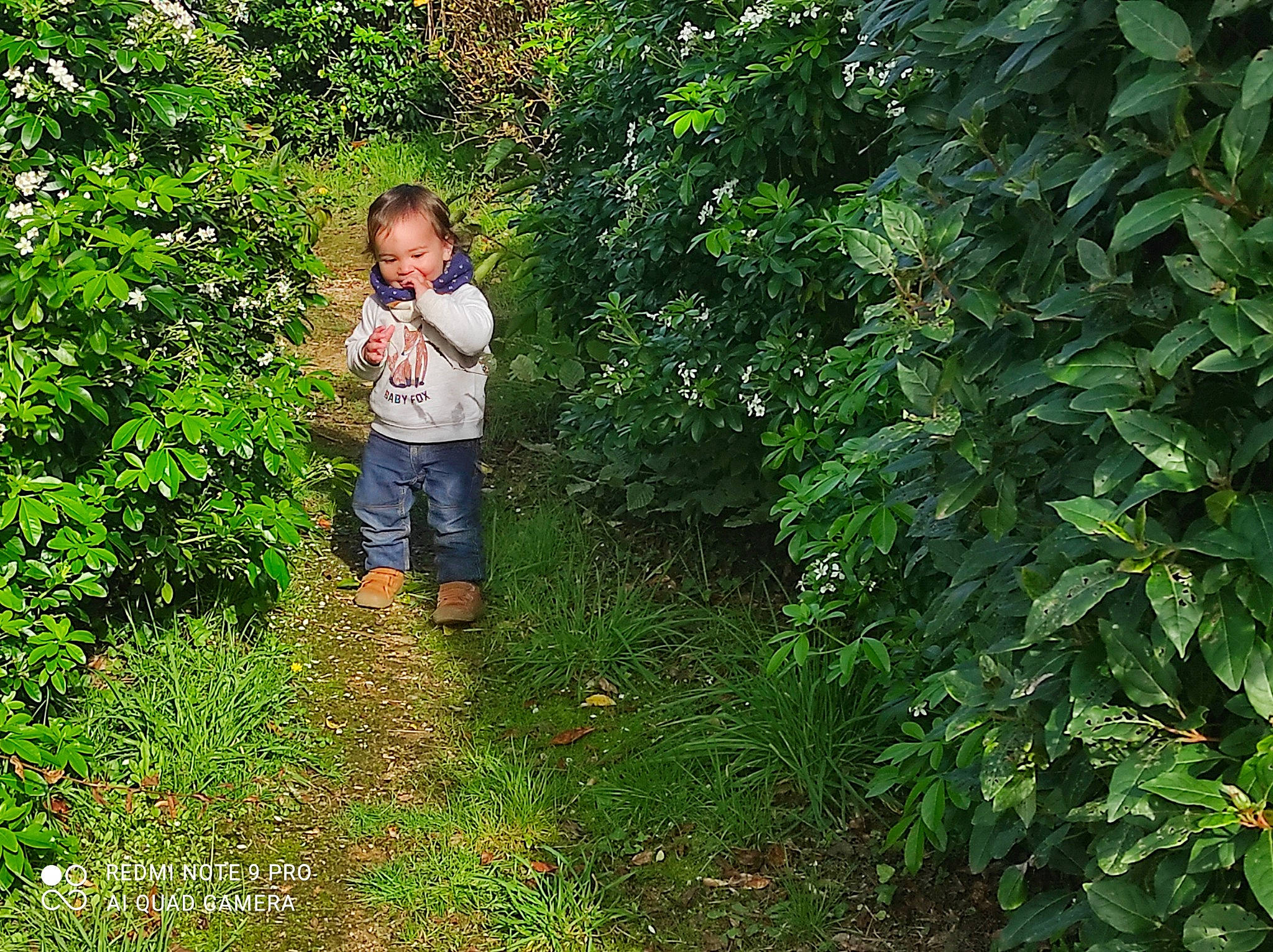 Eliot participe au concours pour gagner de l'argent avec cette photo : baby_toddler_clothing, forest, garden, grass, groundcover, jungle, landscape, natural_landscape, people_in_nature, person, plant, plantation, shorts, shrub, soil, subshrub, t_shirt, temperate_broadleaf_and_mixed_forest, terrestrial_plant, toddler