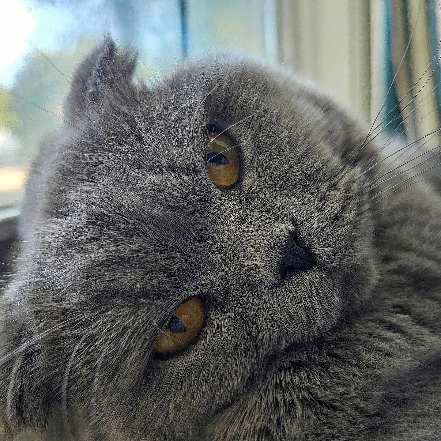 Alvin