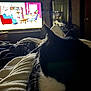 cat, black_and_white, blanket, television, cartoon, living_room, mirror, furniture, dark, cozy, indoor, pet, whiskers, ears, bedroom, relaxing, soft, home, animal, resting