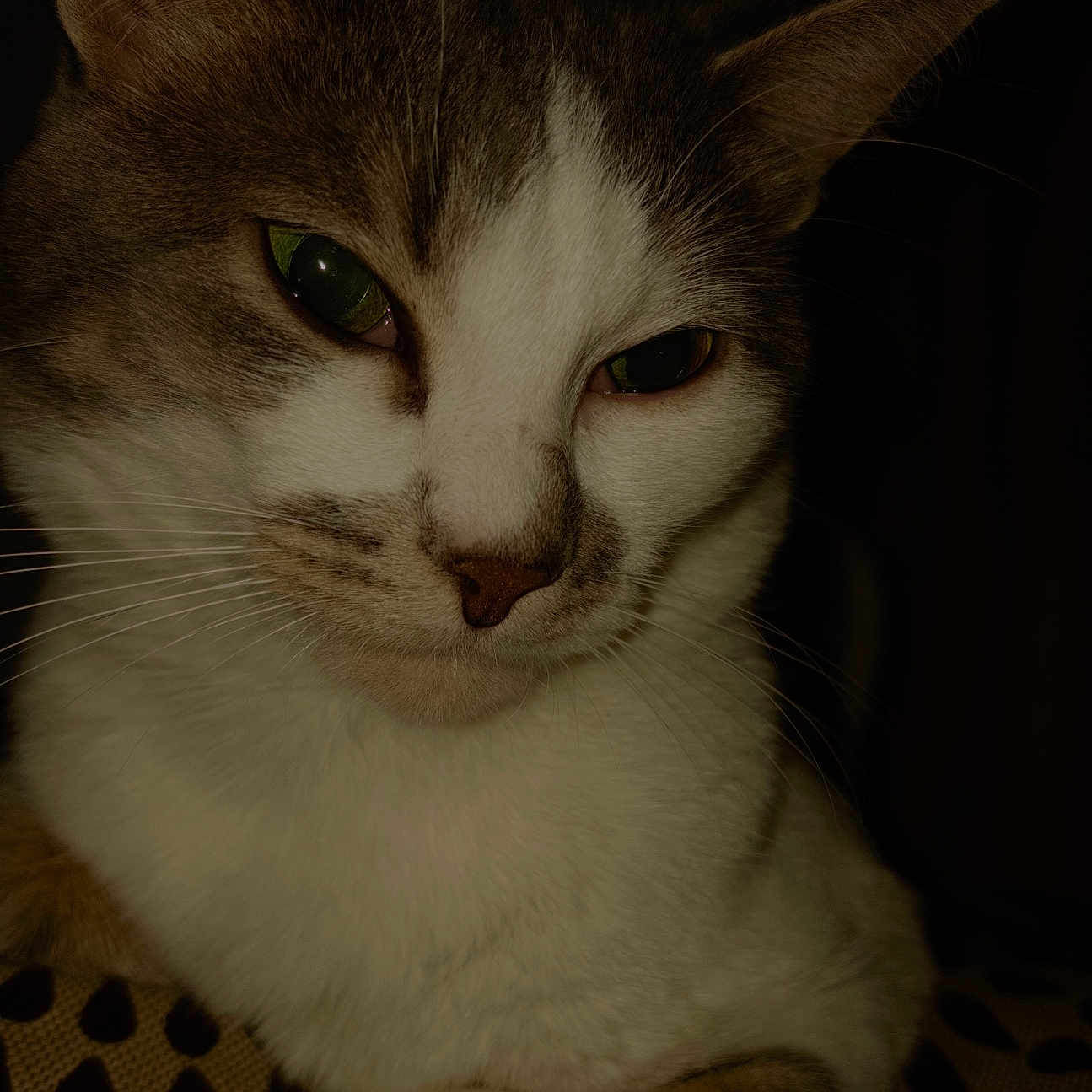 Sam