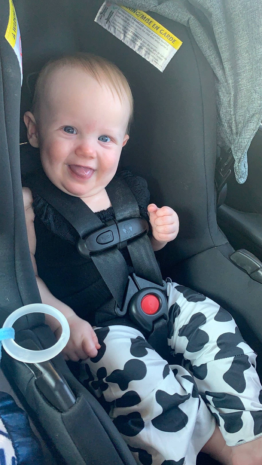 Sutton is registered to the contest to win money with this photo: auto_part, automotive_design, baby, baby_carriage, baby_toddler_clothing, car_seat, child, comfort, face, finger, hairstyle, joy, person, product, seat_belt, skin, sleeve, smile, steering_part, toddler