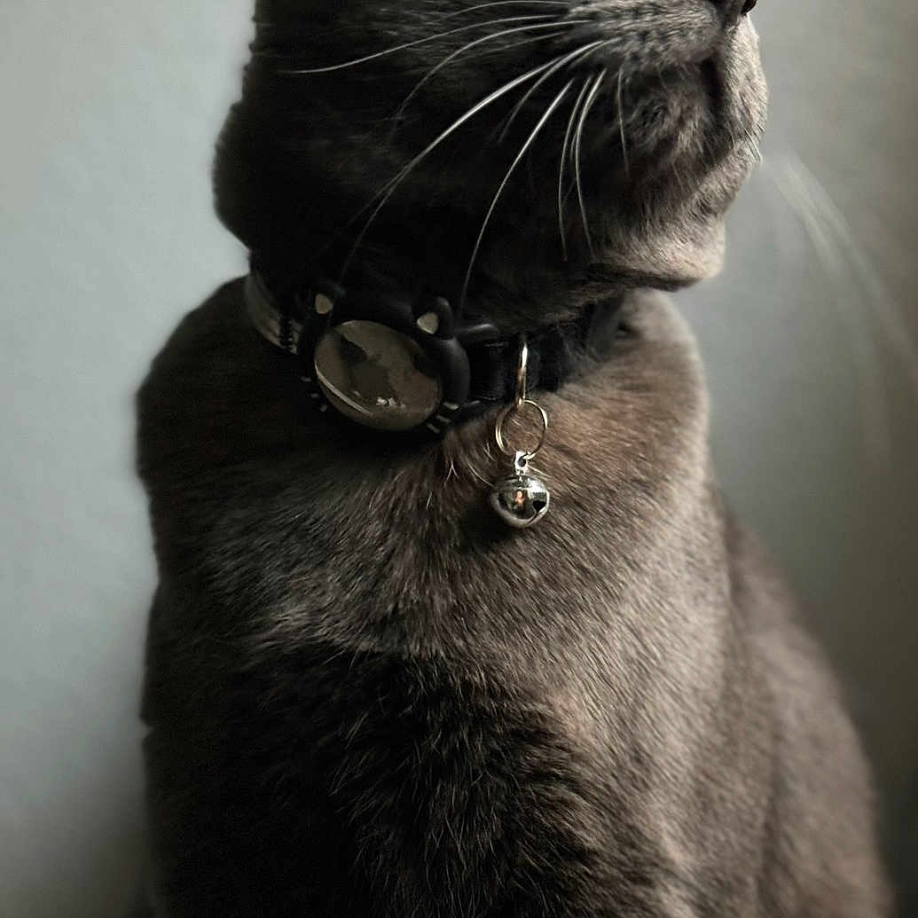 Smokey