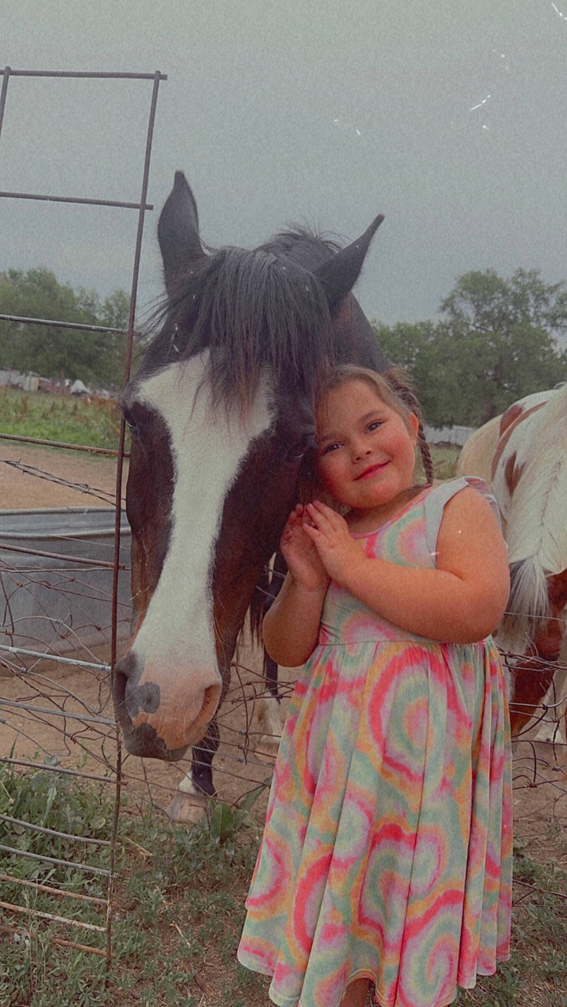 Jocelyn is registered to the contest to win money with this photo: bridle, face, fence, grass, grassland, hair, happy, head, horse, horse_supplies, horse_tack, joy, landscape, mane, pack_animal, person, plant, rein, sky, smile