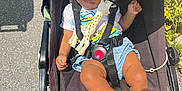 Kayla participe au concours pour gagner de l'argent avec cette photo : toddler, stroller, child, toy, giraffe_toy, sunlight, outdoor, pavement, footwear, baby_shoes, clothing, harness, denim_shorts, white_tshirt, happy, smiling, person, seat, nature, greenery