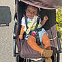 toddler, stroller, child, toy, giraffe_toy, sunlight, outdoor, pavement, footwear, baby_shoes, clothing, harness, denim_shorts, white_tshirt, happy, smiling, person, seat, nature, greenery