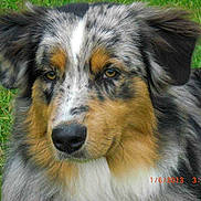 HARPER participe au concours pour gagner de l'argent avec cette photo :