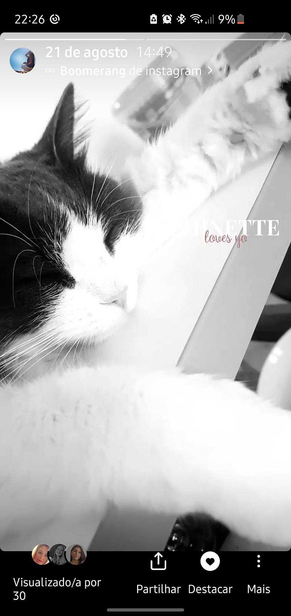 Grey participe au concours pour gagner de l'argent avec cette photo : black_and_white, carnivore, cat, cloud, comfort, domestic_short_haired_cat, eye, felidae, fur, monochrome, monochrome_photography, paw, sky, small_to_medium_sized_cats, snout, style, tail, whiskers, white, windshield