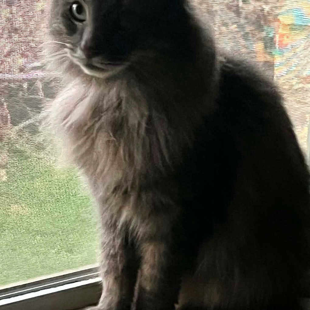Lucy