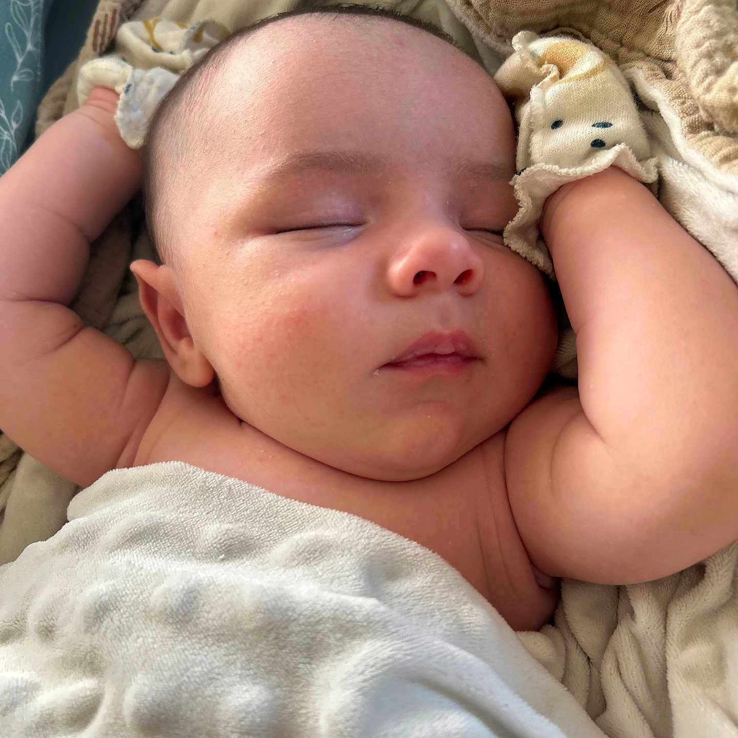 Maverick is registered to the contest to win money with this photo: baby, sleeping, blanket, mittens, infant, closeup, skin, peaceful, cute, soft, comfort, rest, child, newborn, face, arm, nap, indoors, cozy, toddler