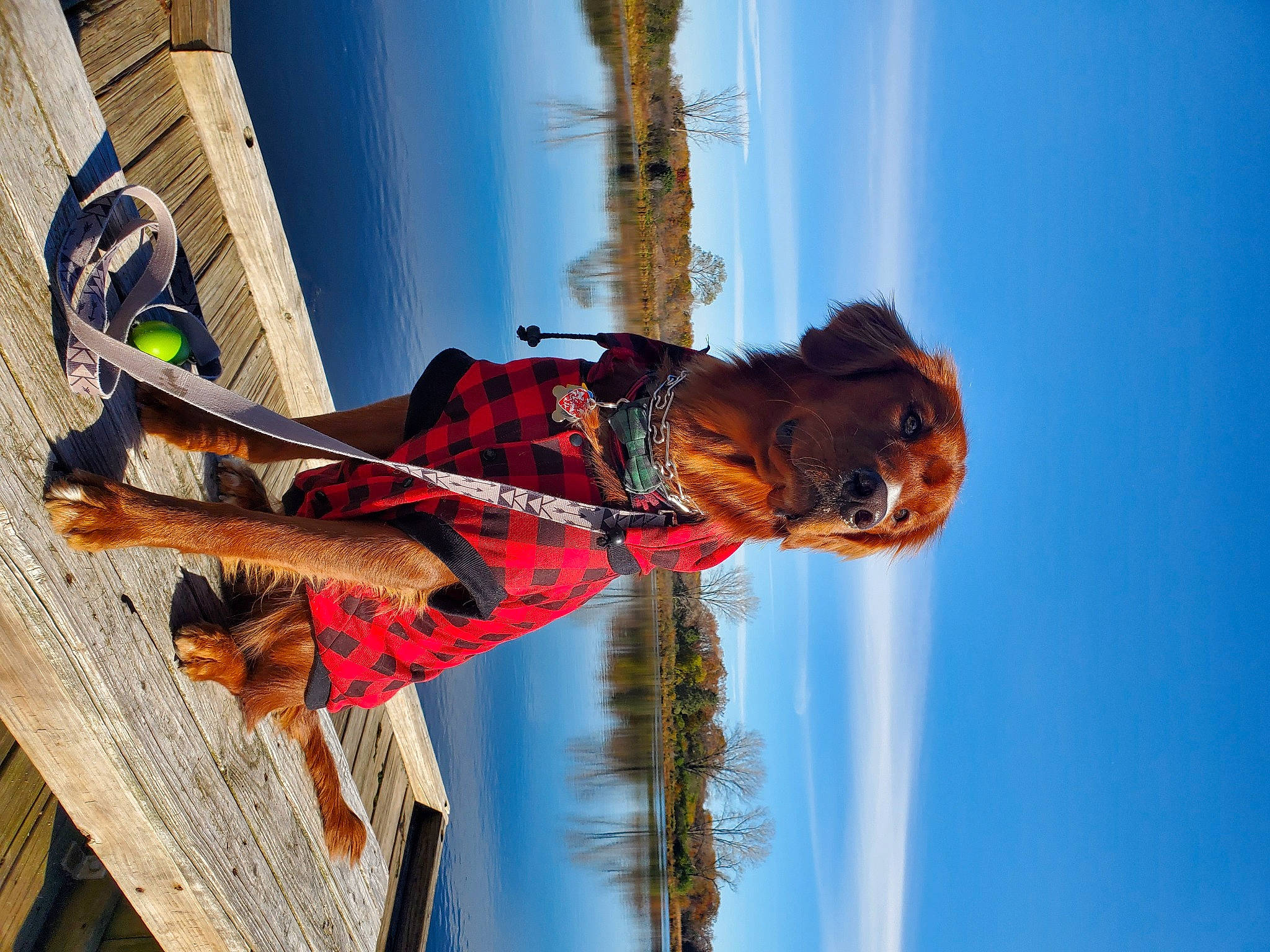 Arrow is registered to the contest to win money with this photo: art, azure, elbow, electric_blue, fun, heat, leisure, plant, rope, sculpture, sky, smile, tree, water, window, wood