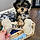 Toby