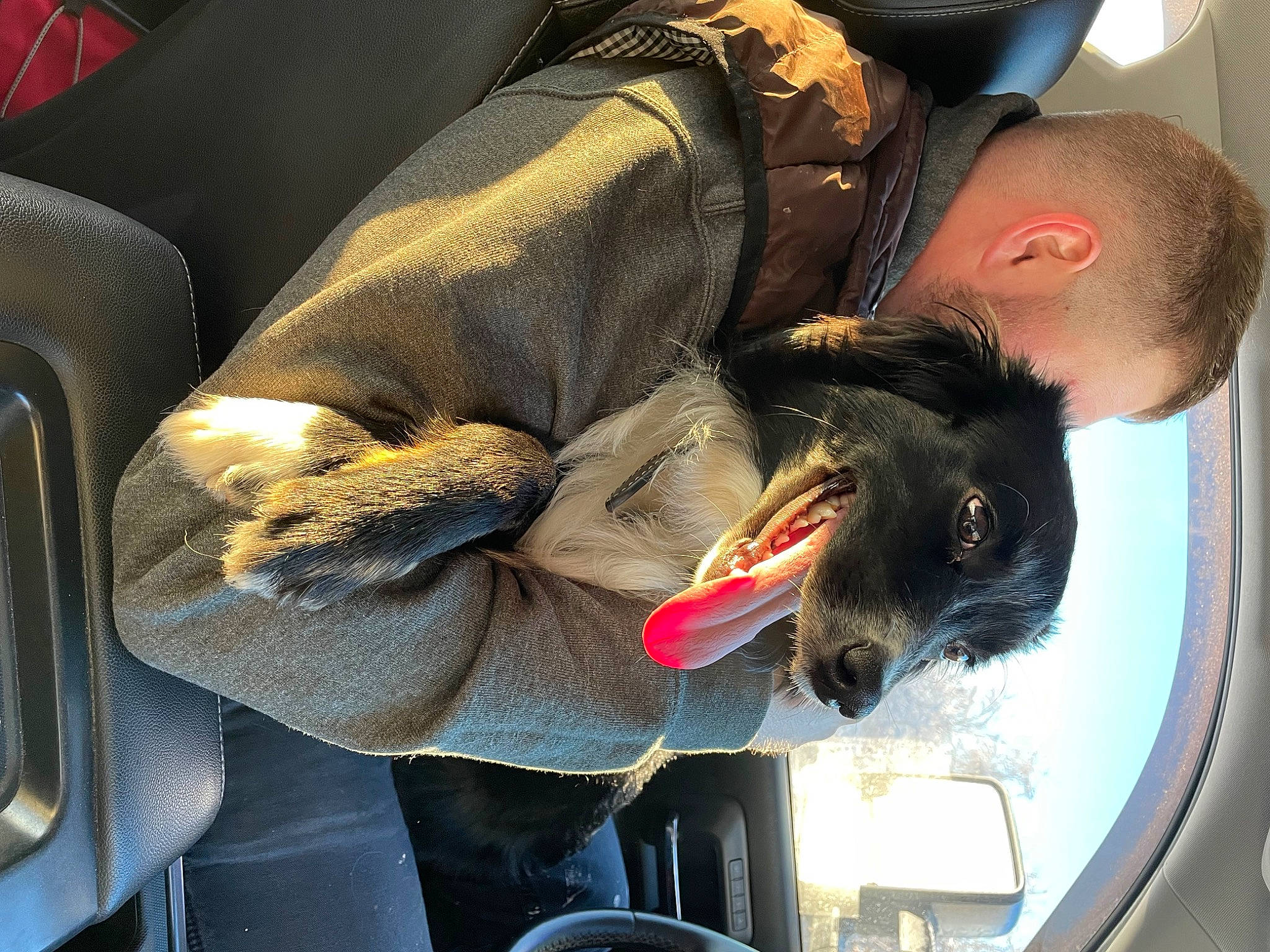 Mary joined the competition — help win amazing prizes! auto_part, automotive_design, automotive_exterior, automotive_lighting, automotive_window_part, car, car_seat, carnivore, comfort, companion_dog, dog, dog_breed, family_car, fur, motor_vehicle, passenger, sporting_group, vehicle, vehicle_door, windshield