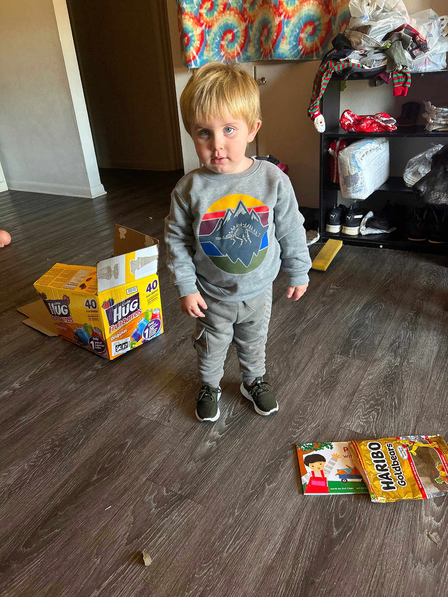 Oliver joined the competition — help win amazing prizes! toddler, child, indoor, floor, sneakers, sweatshirt, dinosaur, box, snacks, dog, shelf, clothing, wood_floor, toy, book, person, curious, standing, household, messy