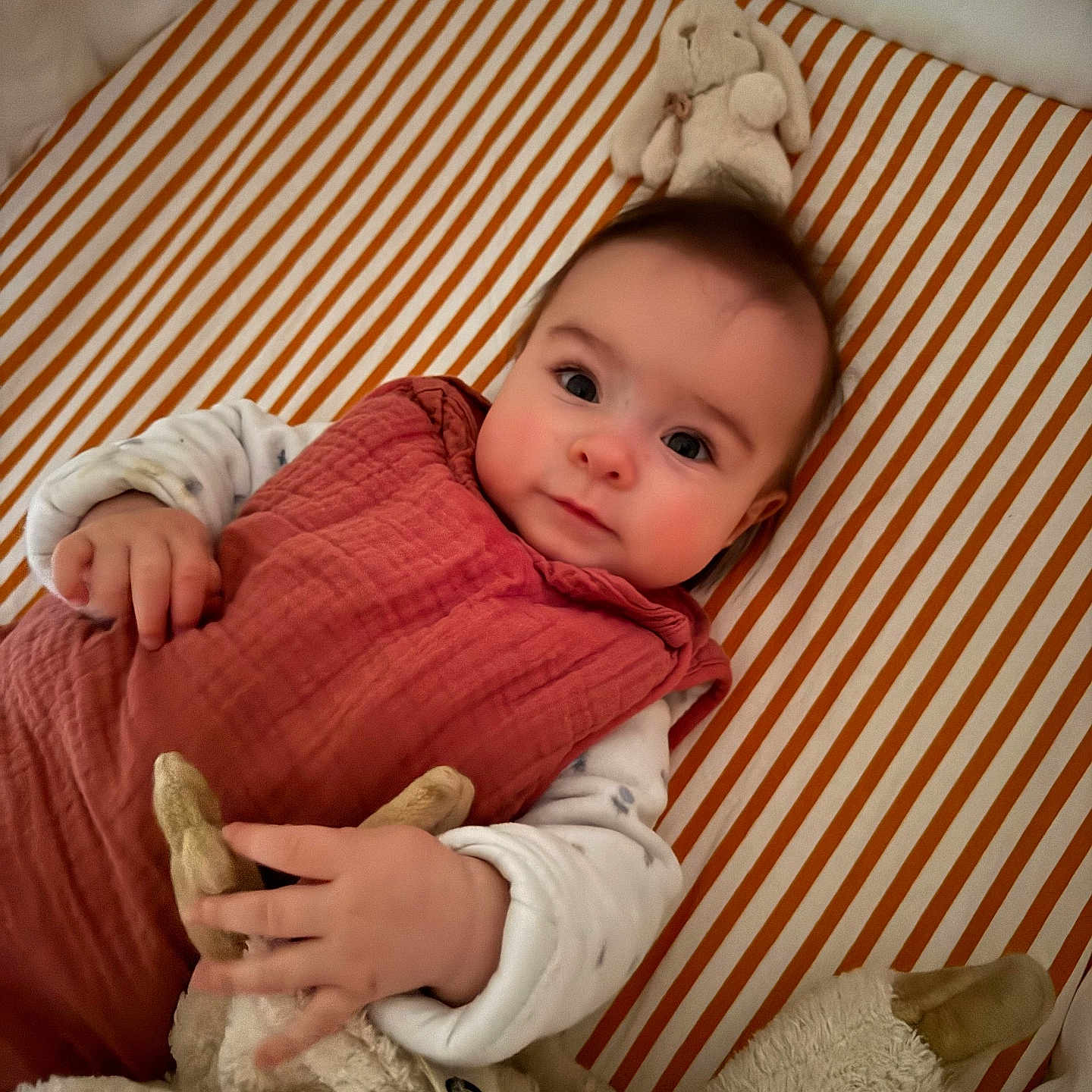 Mahaut participe au concours pour gagner de l'argent avec cette photo : baby, bed, bunny_toy, child, comfort, cozy_clothing, cute, face, hand, indoor, infant, lying_down, mattress, portrait, sleeping_area, soft_toy, striped_bed, stuffed_animal, toy, young_child