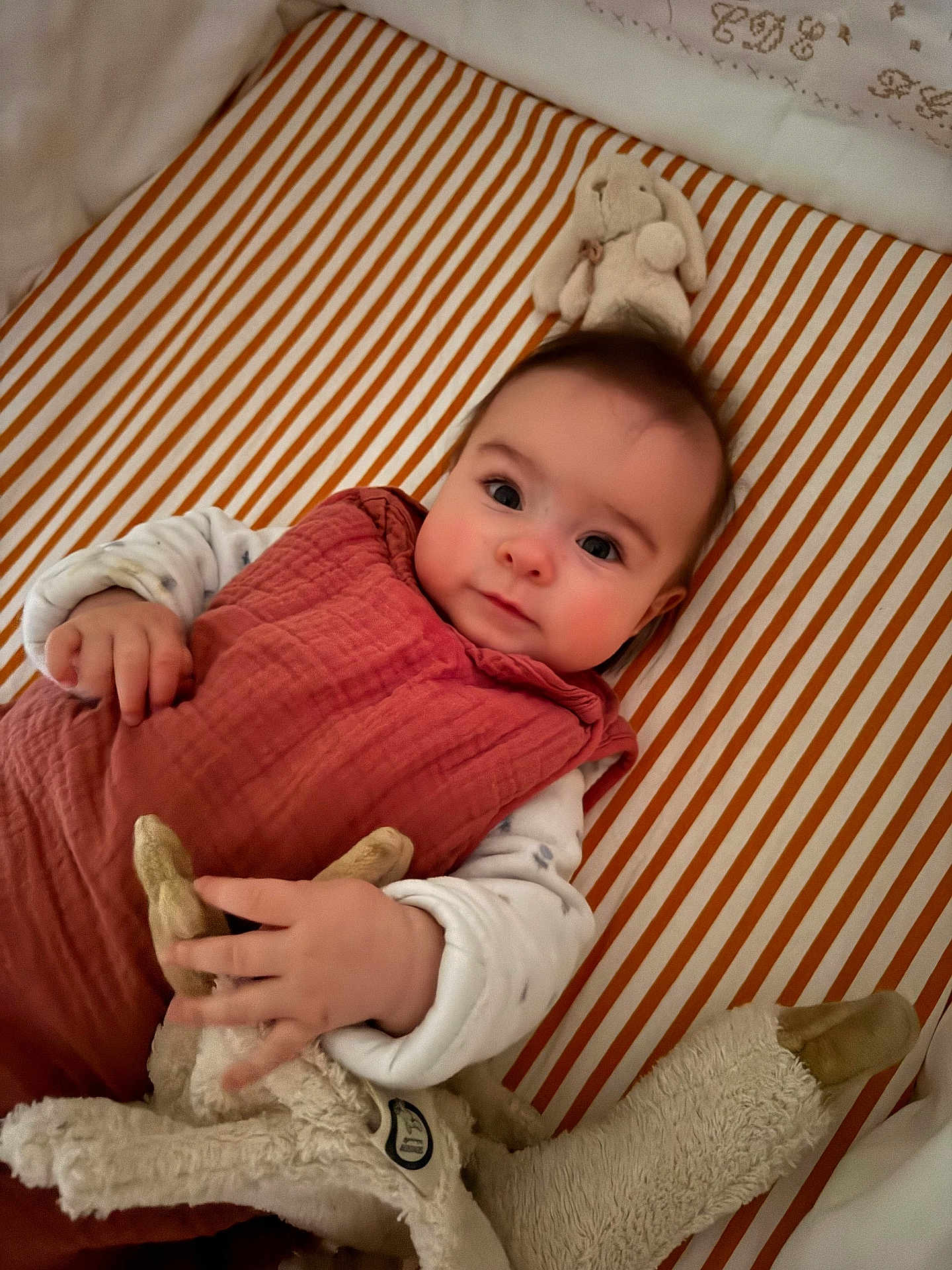 Mahaut participe au concours pour gagner de l'argent avec cette photo : baby, child, infant, stuffed_animal, toy, striped_bed, mattress, bunny_toy, cozy_clothing, portrait, indoor, cute, sleeping_area, hand, face, young_child, soft_toy, lying_down, bed, comfort