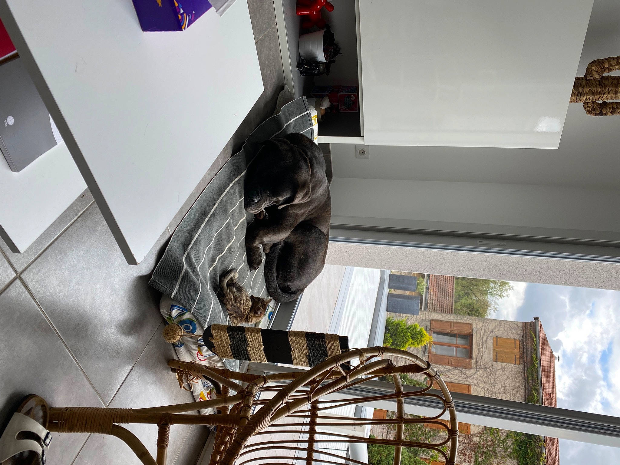 Tokyo a rejoint le concours — aidez-le/la à gagner de superbes lots ! automotive_design, automotive_exterior, automotive_tire, building, ceiling, cloud, event, flooring, glass, house, machine, metal, plant, room, sky, twig, vehicle_door, window, wire, wood