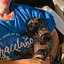 Daisyloo is registered to the contest to win money with this photo: person, puppy, dog, sleeping, tattoo, blue_shirt, indoor, couch, relaxation, pet, brindle, small_dog, human_hand, closeup, comfort, nap, casual, rest, skin, tshirt