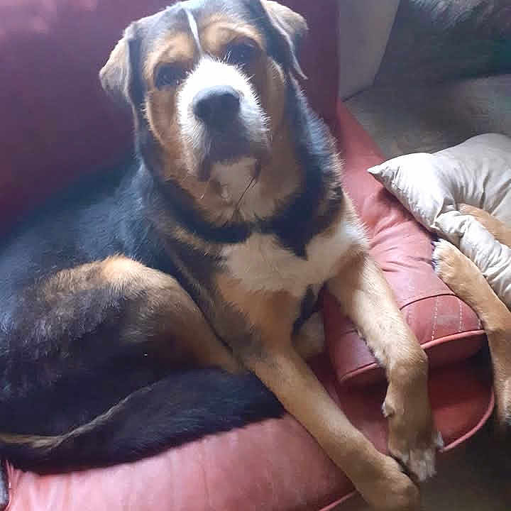 Kéops