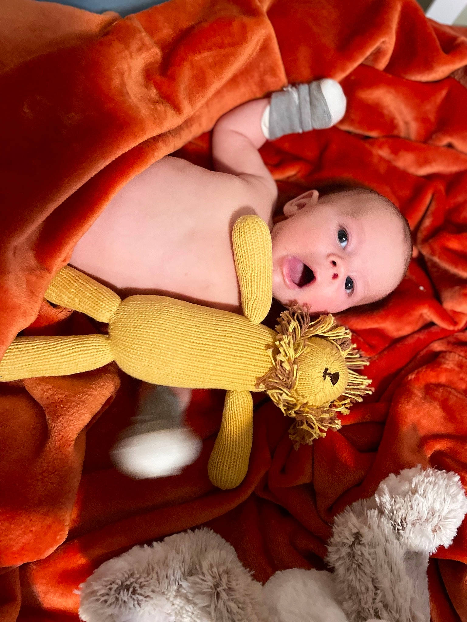 Atlas is registered to the contest to win money with this photo: baby, beauty, doll, eyelash, fawn, finger, gesture, hand, headgear, nail, person, pink, plush, red, skin, stuffed_toy, surprise, textile, thumb, toy