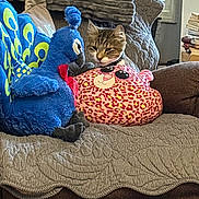 Luke is registered to the contest to win money with this photo: cat, tabby_cat, plush_toy, peacock_toy, pink_pillow, leopard_print, couch, quilt, cushion, indoor, window, plant, stacked_books, brown_furniture, soft_texture, pet, cozy, relaxing, animal, feline