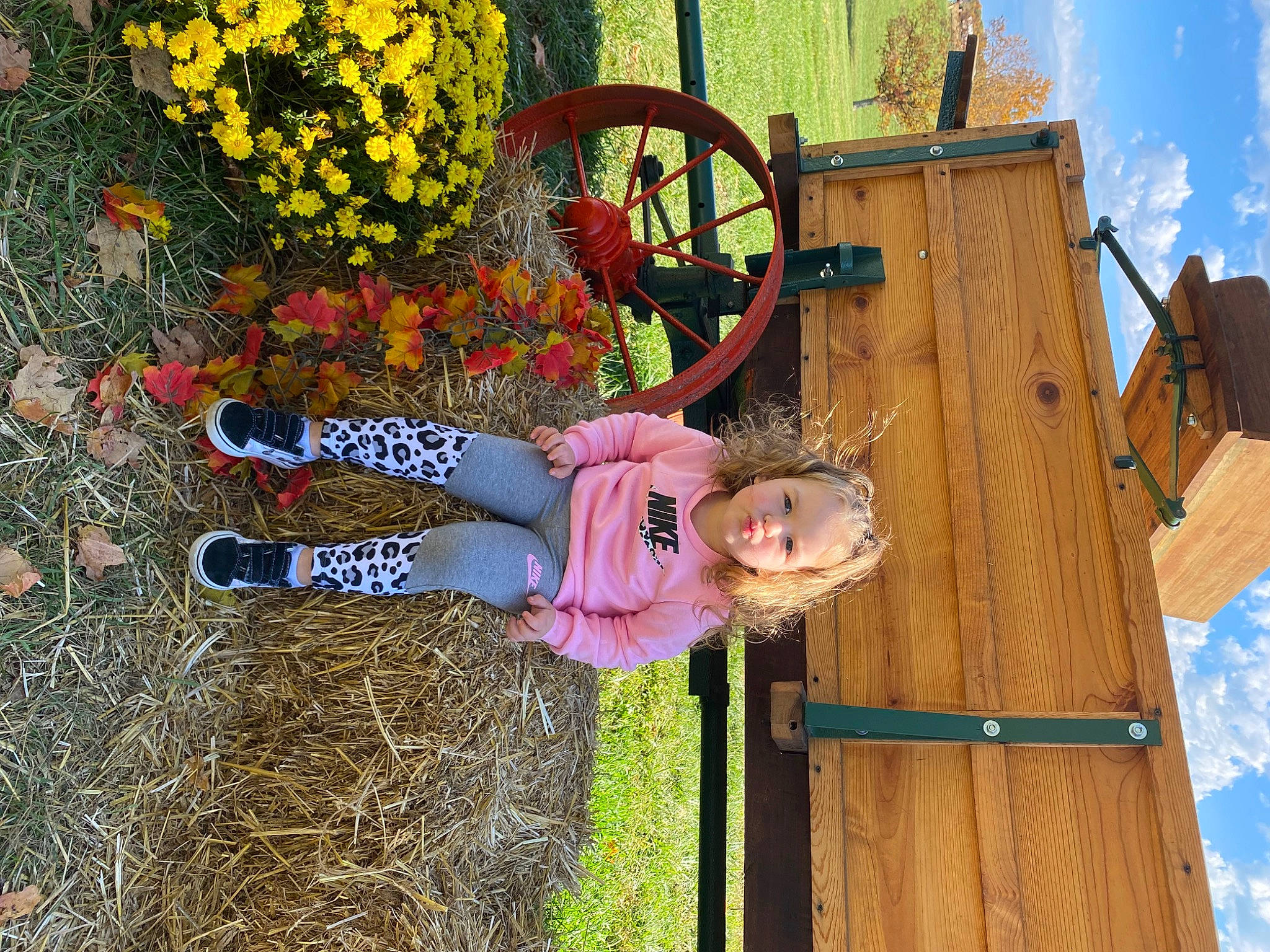 Ahlani joined the competition — help win amazing prizes! automotive_tire, child, cloud, flower, fun, grass, happy, landscape, leisure, magenta, people_in_nature, person, plant, sky, smile, tire, toddler, tree, wheel, wood