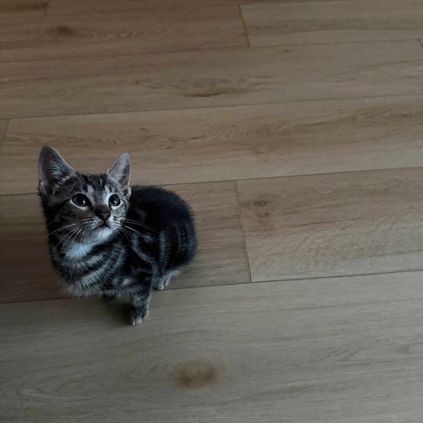 Binx